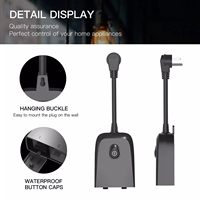 Prise intelligente extérieure 4000W IP55 étanche 16A avec télécommande vocale WiFi US Plug et application de surveillance de l'énergie contrôlée