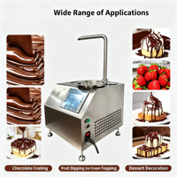 Fontaine à chocolat et équipement de service de snacks professionnels : Distributeur et machine à faire fondre