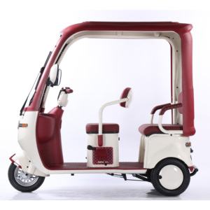 QSD Nouveau Design Écologique 1000W Véhicule Électrique Auto-Rickshaw Éco-Tricycle Passager E Tuk Tuk <span class=keywords><strong>Toto</strong></span> Scooter à 3 Roues - Product Image 5