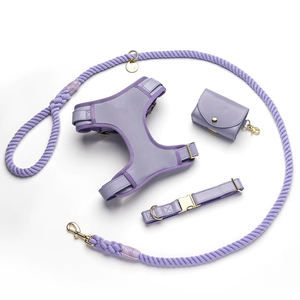 パーソナライズされた調整可能なPUレザーペットカラーハーネスとロープリーシュ犬の首輪セット - Product Image 4