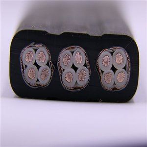 Câble plat de traction FUJI Crane certifié CCC, poids unitaire de 0,8 kg pour diverses applications - Product Image 5