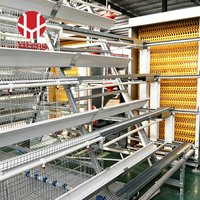 Système d'abreuvement automatique pour cages d'élevage de volailles de type P, destiné aux fermes commerciales de poulets pondeurs - Fournisseur d'équipements d'élevage de poulets