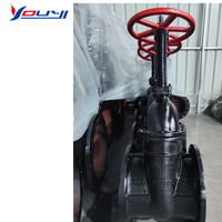 Penjualan pabrik Manual Flanged katup gerbang besi cor produk Harga kompetitif