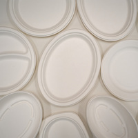 Vaisselle jetable biodégradable écologique personnalisable, assiettes de présentation, couleur naturelle, assiettes en bagasse