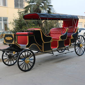 Autobús Turístico Estándar para 7-10 Pasajeros y Autobús de Transporte de Pasajeros, Vehículo Turístico Eléctrico, Carruaje Turístico a Caballo en Venta - Product Image 2