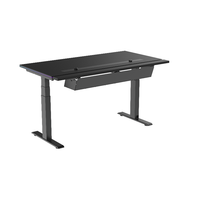 Bureau de jeu électrique multifonctionnel à double moteur RGB, bureau de jeu moderne réglable en hauteur, table d'ordinateur ergonomique à levage électrique