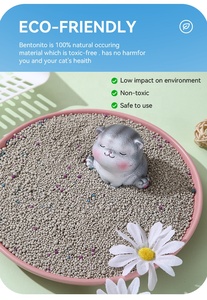 Campioni Gratuiti di Bentonite di Sodio Ecologica, Agglomerante Rapido, 99% Senza Polvere, Altamente Assorbente, Sabbia per Gatti a Forma di Sfera - Product Image 2