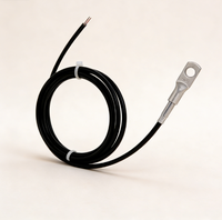 Sonde de température industrielle aquatique PT100 CWDZ00, sonde de résistance au platine de haute précision en acier inoxydable IP68