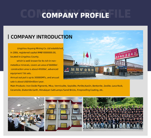 Bột Bentonite Natri Độ Tinh Khiết Cao Dùng Cho Chất Lưu Khoan và Các Ứng Dụng Kỹ Thuật Xây Dựng - Product Image 4