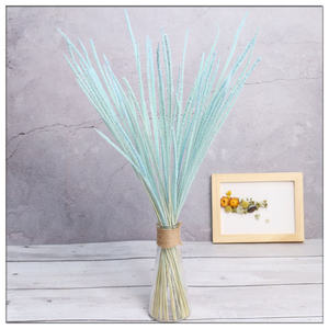 Ventes directes d'usine coloré préservé Kirin herbe fleurs réel naturel séché licorne herbe coton Setaria <span class=keywords><strong>Pumila</strong></span> nouvelle-zélande - Product Image 3