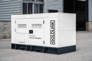 공장 가격 30kva <span class=keywords><strong>20kva</strong></span> 50kva 100kva 150kva 200kva 삼상 골드링크 울트라 사일런트 디젤 발전기 세트 - Product Image 4
