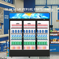 Congélateur vertical pour boissons Réfrigérateur vertical d'usine de boissons alimentaires Refroidisseur de boissons debout