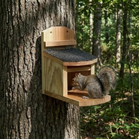 Nichoir et mangeoire suspendus en bois de pin personnalisés pour écureuils, abri extérieur pour animaux sauvages pour arbre de jardin