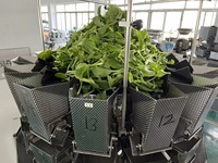 Automatische Multihead Frozen Fruit Tray Box Vulmachine Verse Groenten Salade Clamshell Packing Machine