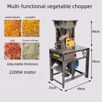 Commerciële elektrische multifunctionele groentesnijder roestvrijstalen hakselaar chilipepermolen 2,2 kW universele spanning 1 jaar garantie