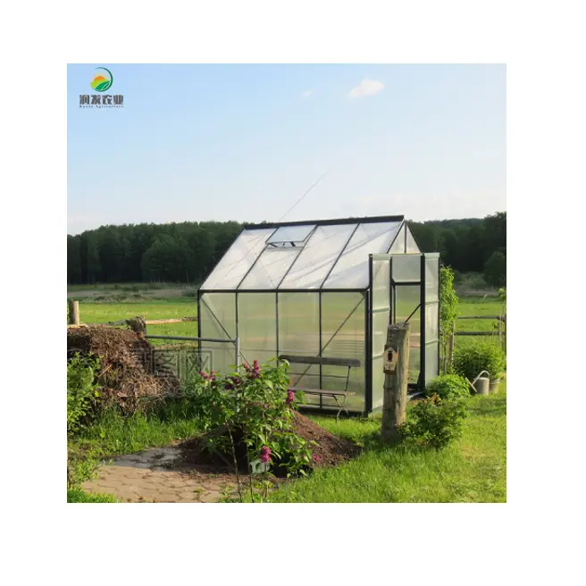 Invernaderos de Jardín Pequeño, tubería de invernadero Industrial de calidad superior, de vidrio usado para agricultura, comercial, a la venta