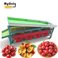 Mijn automatische sorteerlijn voor blauwe bessen, tomaten en avocado's, elektronische fruit sorteermachine, prijs