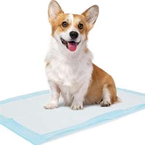 All'ingrosso impermeabile da allenamento monouso per pannolino e assorbente Pet urina 60x90 vasino cucciolo <span class=keywords><strong>Pee</strong></span> Dog Pad - Product Image 4