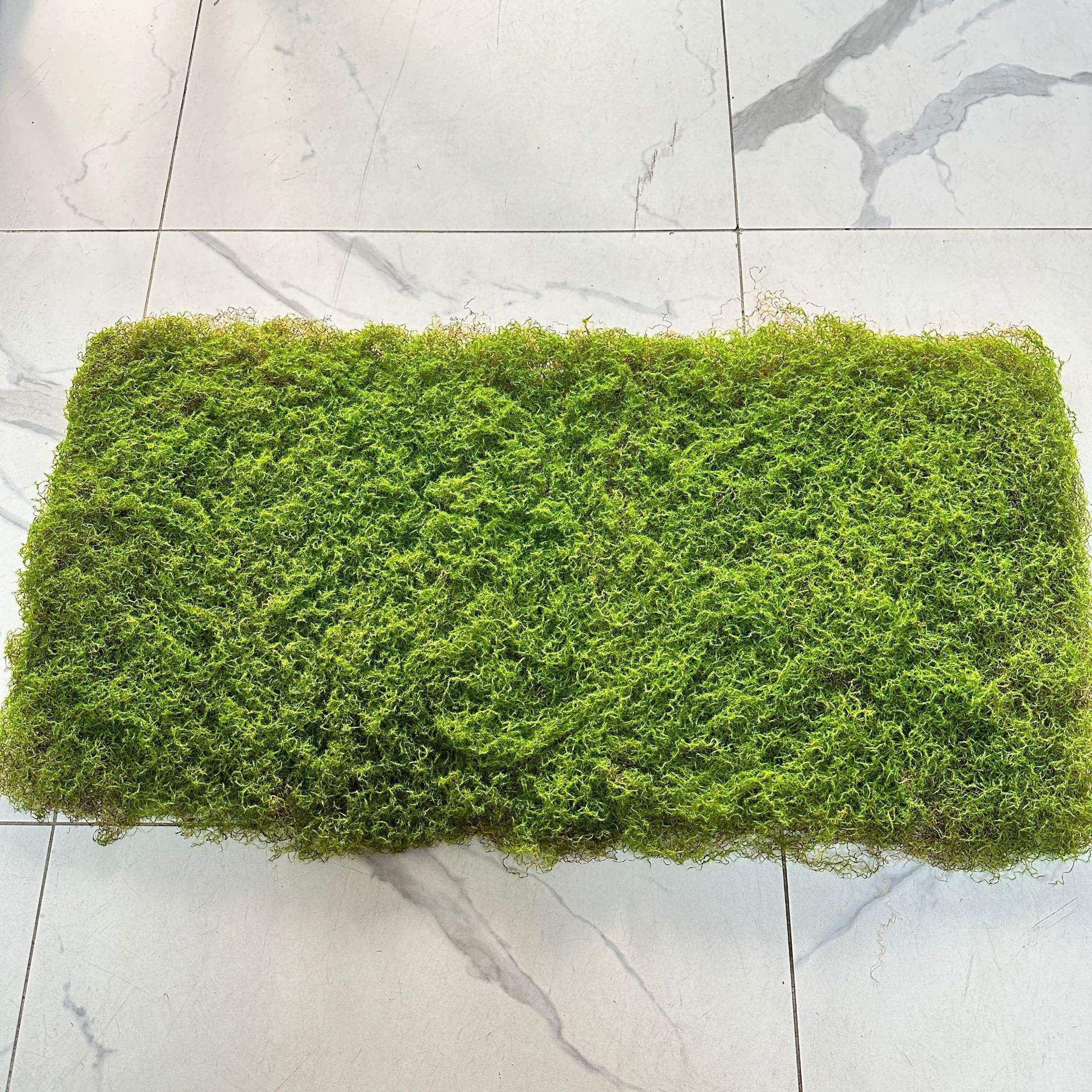 สนามหญ้ามะพร้าวมอส1ม. * 50ซม