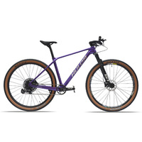 Cadre en fibre de carbone HULDA, best-seller, suspension avant, freins à disque doubles, passage des câbles interne, VTT 29 pouces en alliage d'aluminium