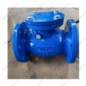 Válvula de Retención Vertical de Resorte SS316 Sin Cierre Rápido para Protección de Bombas - Product Image 5