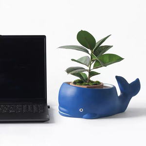 Pots de bonsaï succulents en céramique en forme d'animal de conception créative, <span class=keywords><strong>pot</strong></span> en terre cuite en forme de <span class=keywords><strong>baleine</strong></span> pour la maison, le balcon et la fleur - Product Image 4