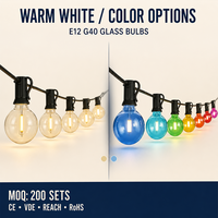 Guirlandes lumineuses solaires étanches G40 E12 LED, ampoules globe rechargeables par USB pour la décoration de jardin, de café et d'événements