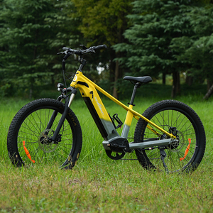 Nouveau modèle Vélo électrique VTT W03 avec capteur de couple 48V et double moteur 1000W - Product Image 6