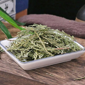 도매 ce bai ye 하이 퀄리티 중국 의약 재료 동양 측백나무 품종 완성 - Product Image 6