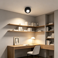 Fournisseur de solutions hôtelières, downlight en aluminium à montage en surface, angle réglable, forme globe, lampe LED à intensité variable