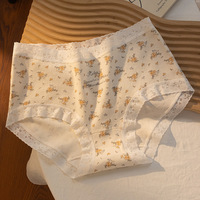 Culotte en soie élastique à taille moyenne pour femmes Culotte romantique en dentelle florale Taille unique Hipster Sous-vêtements pour femmes avec logo à la taille