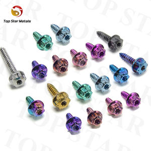 TITST Gr5 vis en titane tête <span class=keywords><strong>de</strong></span> bride autotaraudeuse alliage titane boulon moto <span class=keywords><strong>coque</strong></span> vis décoratives - Product Image 5