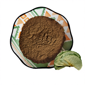 Estratto di Foglie di Loto Essiccato a Spruzzo, Polvere Naturale Pura per Dimagrimento, Vendita all'Ingrosso - Product Image 1