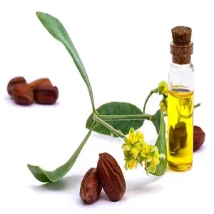 Jojoba koku yağı (15ml) toptan fiyat çin'den 100% çam kozalağı özü Jojoba koku yağı üreticisi