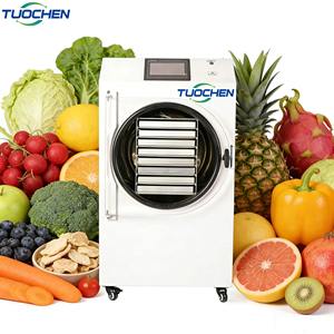 Déshydrateur domestique HFD-8 10Kg 12Kg à 8 plateaux pour fruits, petite machine de lyophilisation avec pompe, équipement de lyophilisation - Product Image 1