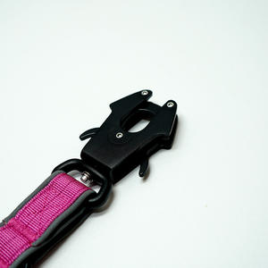 Laisse Courte Anti-Traction pour Chien, Tendance et Solide, avec Mousqueton Rapide, Logo et Couleur Personnalisables, en Nylon Durable - Product Image 5