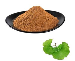 Pure Natural <strong>Ginkgo</strong> Biloba <strong>Ginkgo</strong> Biloba Powder <strong>Ginkgo</strong> Biloba <strong>Extract</strong> - Product Image 2