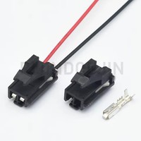 2 Pin Konektor Kabel Listrik Otomotif Betina Dengan Terminal 12129081