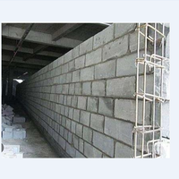 Blocs de béton AAC modernes de haute qualité, panneaux muraux en ciment ALC, briques de maçonnerie, matériaux de construction pour logements Guangzhou Foshan