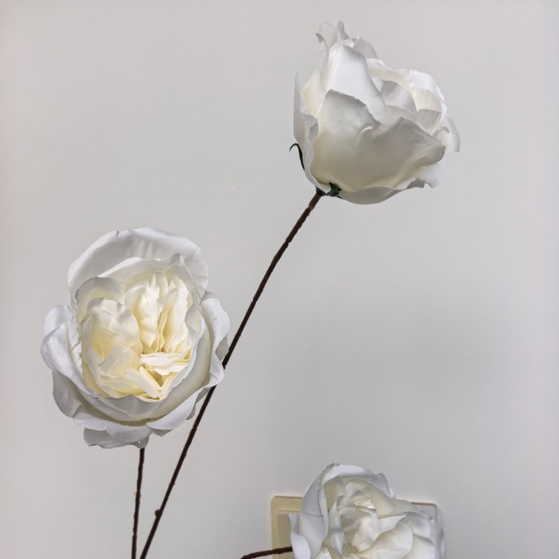 Bianco-1