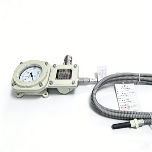 WTY-205 Gasdruck-Thermometer mit Analoganzeige, Heißwiderstandssignal-Ausgang, Nanyang Huaye Zhang Heng - Product Image 4