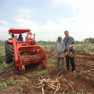 Mesin Panen Singkong 2 Baris, Mesin Pertanian, Penggerak Motor, Penggerak Gigi, Produktivitas Tinggi, untuk Kentang - Product Image 1
