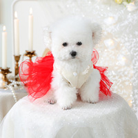 Robe de mariage printemps-été pour chien et chat, motif ours Cupidon, imprimé polyester, style décontracté