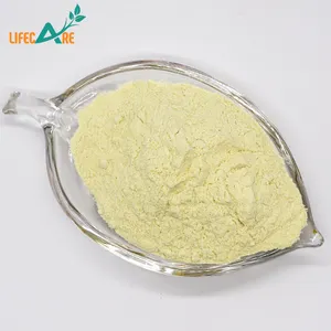 Apple extract Factory Manufacture Organic Dried Apple Juice Powder Apple extract Powder