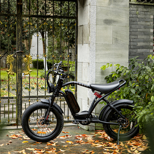 Vélo de montagne électrique avec side-car et pneus larges, modèle Fat Boy - Product Image 6