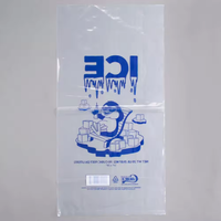 Sac Cube jetable transparent nouvellement publié impression personnalisée 10Kg et 5Kg sacs de glace à cordon pour emballage alimentaire