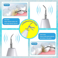 Détartreur électrique portable à haute fréquence pour le nettoyage des dents et l'élimination de la plaque dentaire