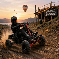 Buggy électrique 48V avec frein à disque hydraulique, vitesse maximale de 39 km/h, transmission par chaîne, pneus de course sur route