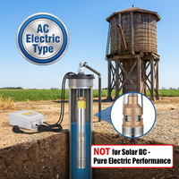 Pompe à eau submersible électrique en acier inoxydable 220V pour puits, pompe de puits immergée utilisée pour l'extraction d'eau