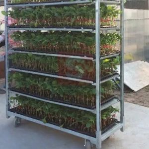 Populaire Deense bloemenkar transport Nederlandse bloemenpresentatie geproduceerde bloemenkar - Product Image 6